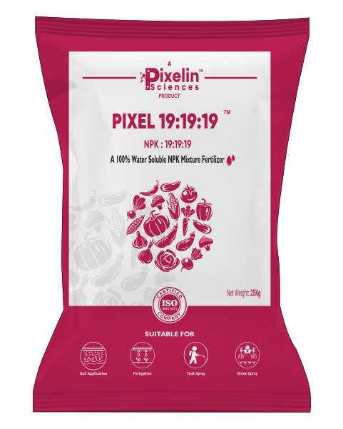 PIXEL 19-19-19