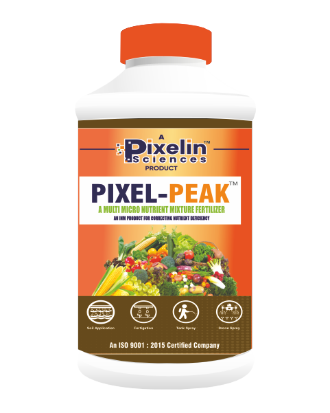 PIXEL-PEAK (Formula-6)
