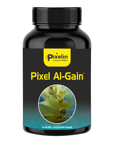 AL-GAIN - (Seaweed Extract Concentrate)